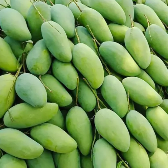 Green Elephant Mango
