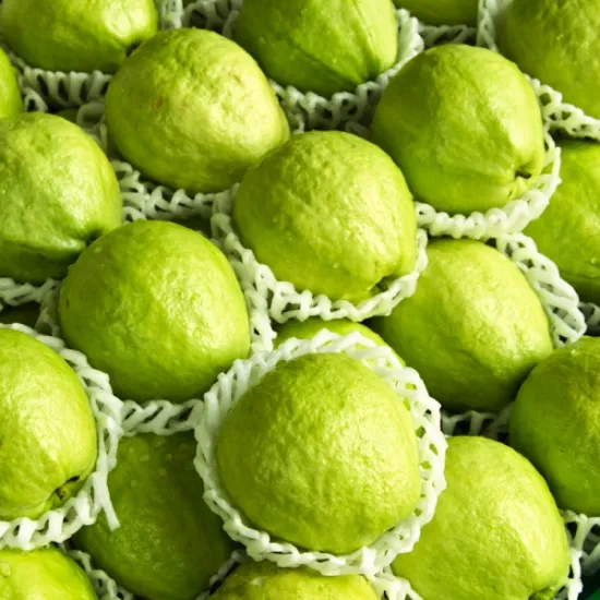 Queen Guava