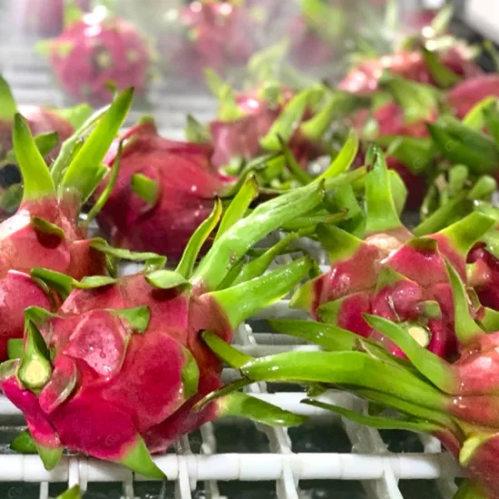 White Dragon Fruit