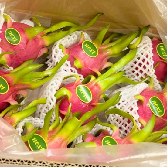 White Dragon Fruit