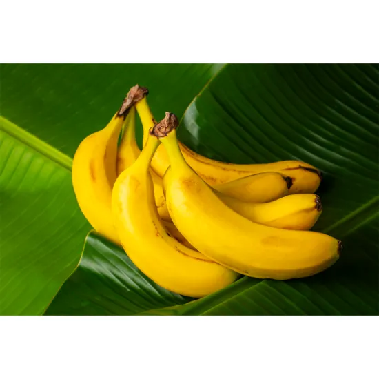 Cavendish Banana