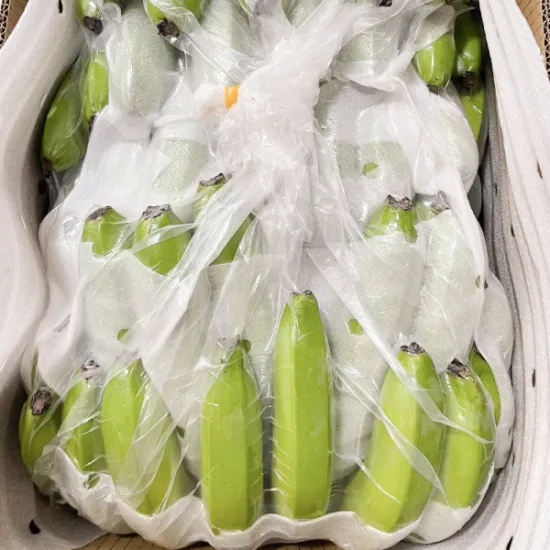 Cavendish Banana