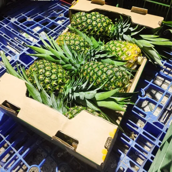 MD2 Pineapple
