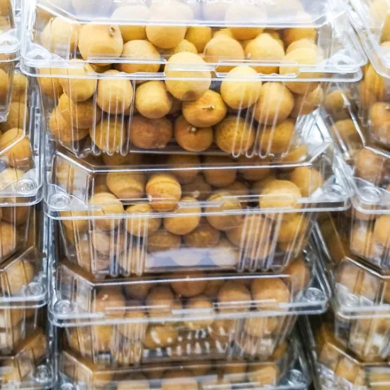 Longan Ido