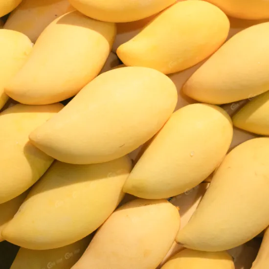 Yellow Keo Mango