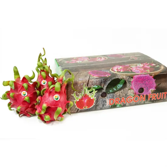 Red Dragon Fruit