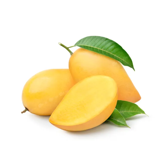 Yellow Cat Chu Mango