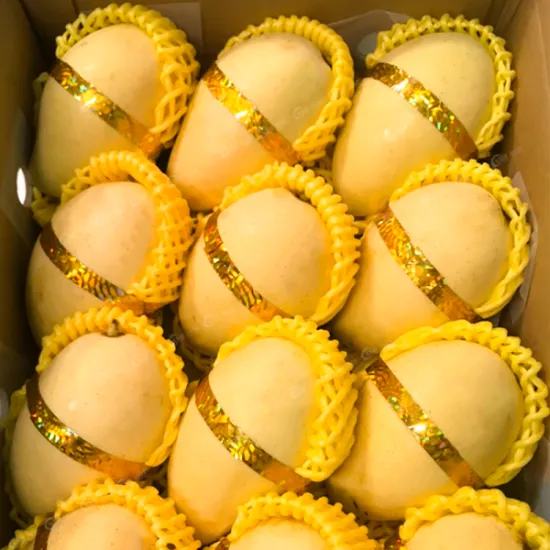 Yellow Cat Chu Mango