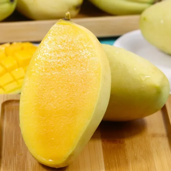 Yellow Cat Chu Mango