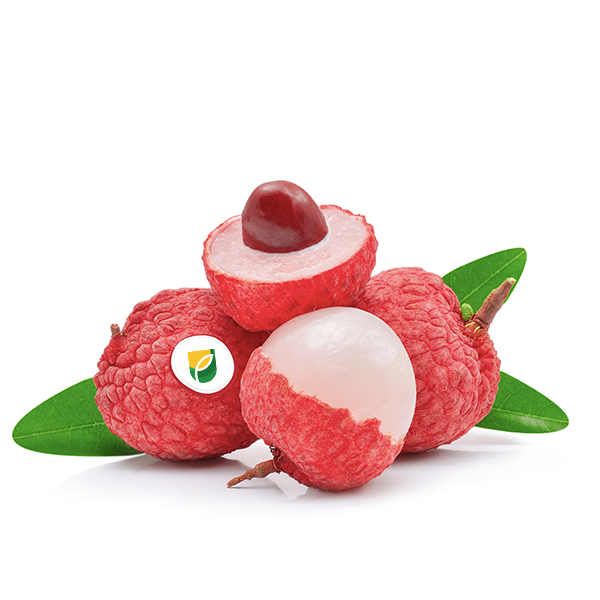Frozen Thanh Ha Lychee